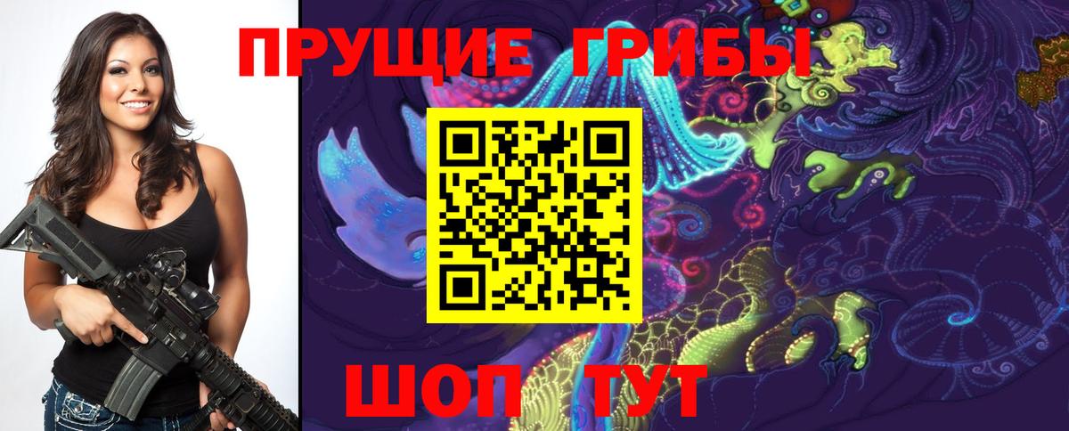 Галлюциногенные грибы Psilocybe Златоуст